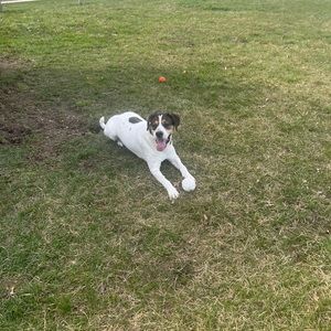 Meet your Posher, Rob